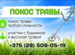 Фотография к объявлению 183