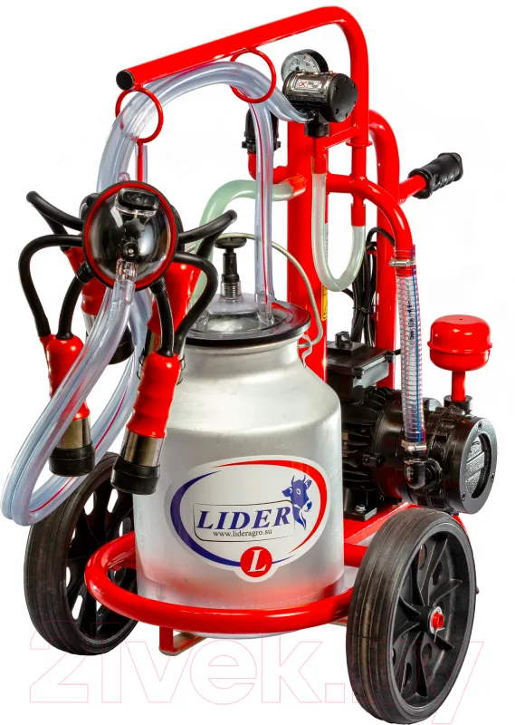 Фото 1